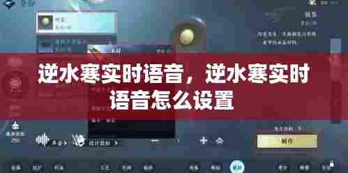 逆水寒实时语音,逆水寒实时语音怎么设置