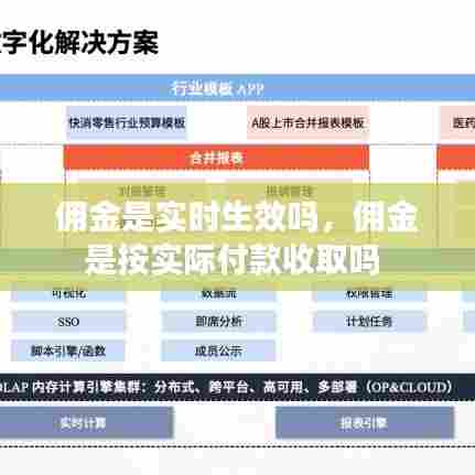 佣金是实时生效吗，佣金是按实际付款收取吗 