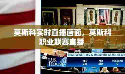 莫斯科实时直播画面,莫斯科职业联赛直播