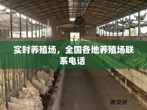 实时养殖场，全国各地养殖场联系电话 