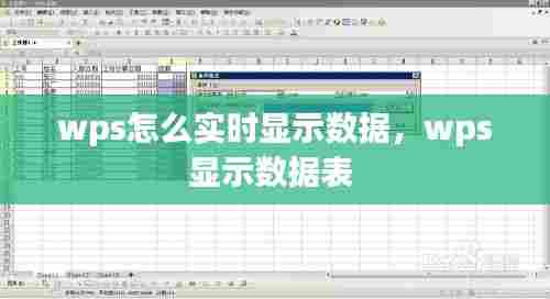 wps怎么实时显示数据,wps显示数据表