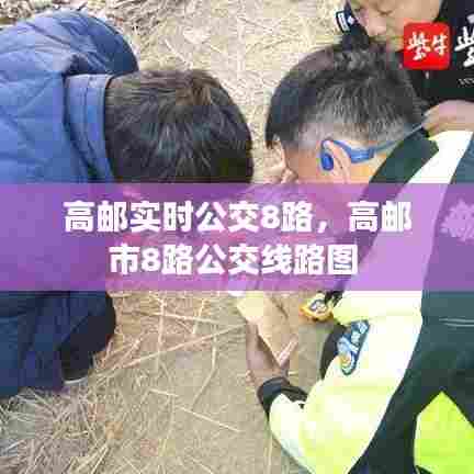 高邮实时公交8路,高邮市8路公交线路图