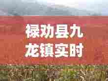 禄劝县九龙镇实时预报图，禄劝彝族苗族自治县九龙镇 