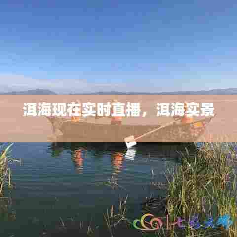 洱海现在实时直播,洱海实景