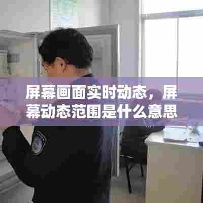 屏幕画面实时动态,屏幕动态范围是什么意思