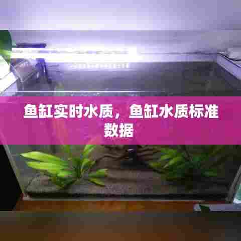 鱼缸实时水质,鱼缸水质标准数据