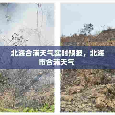北海合浦天气实时预报,北海市合浦天气
