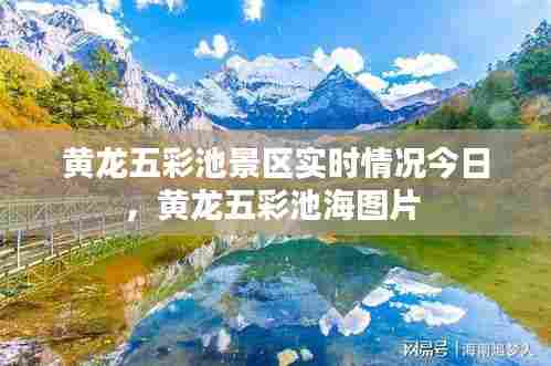 黄龙五彩池景区实时情况今日,黄龙五彩池海图片