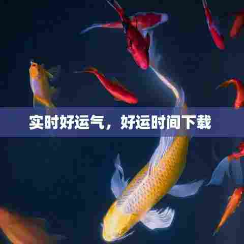 朴素无华 第7页