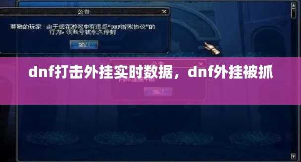 dnf打击外挂实时数据，dnf外挂被抓 