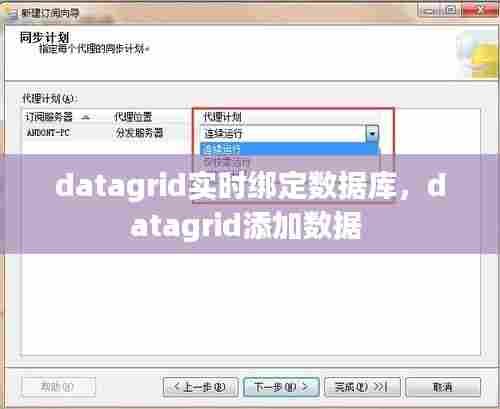datagrid实时绑定数据库，datagrid添加数据 