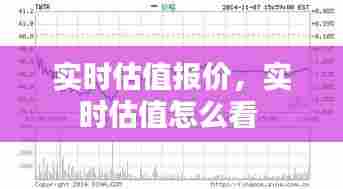 实时估值报价，实时估值怎么看 