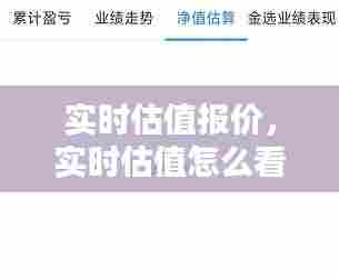 实时估值报价,实时估值怎么看