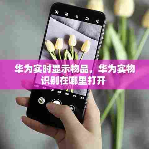 华为实时显示物品，华为实物识别在哪里打开 