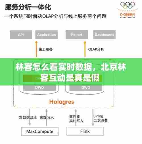 林客怎么看实时数据,北京林客互动是真是假