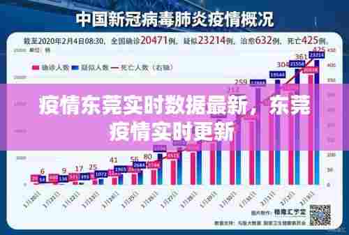 疫情东莞实时数据最新,东莞疫情实时更新