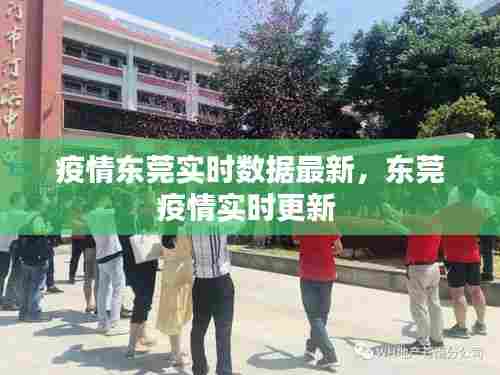 疫情东莞实时数据最新,东莞疫情实时更新