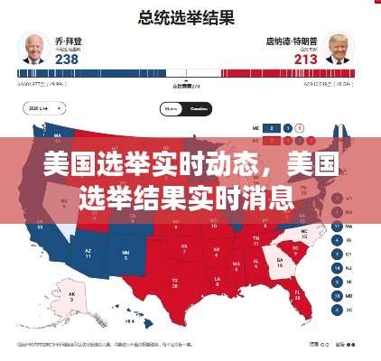 美国选举实时动态,美国选举结果实时消息
