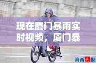 水浄鹅飞 第7页