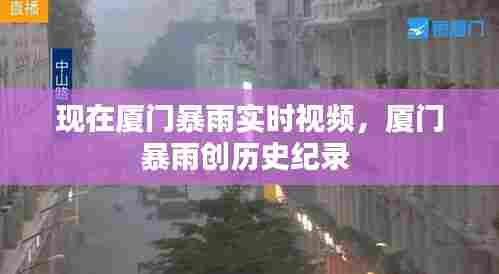 现在厦门暴雨实时视频,厦门暴雨创历史纪录