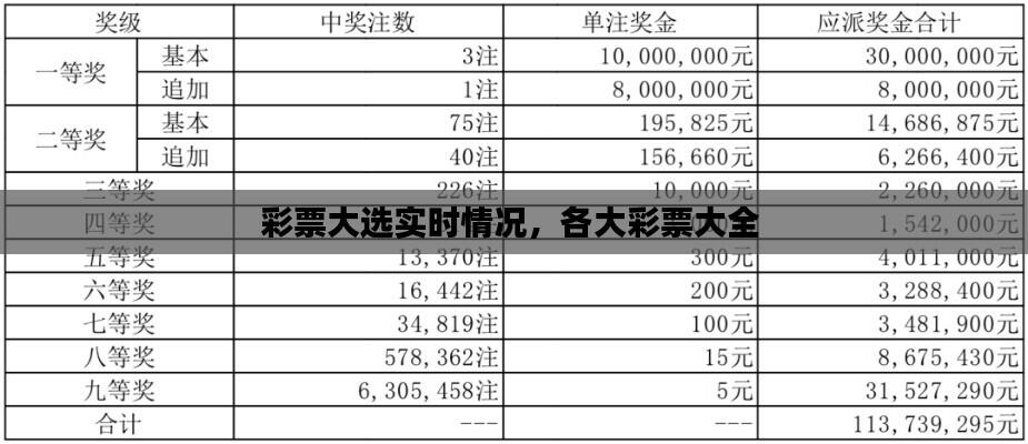 彩票大选实时情况,各大彩票大全