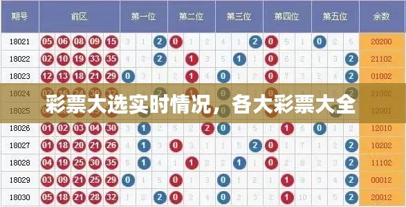 彩票大选实时情况,各大彩票大全