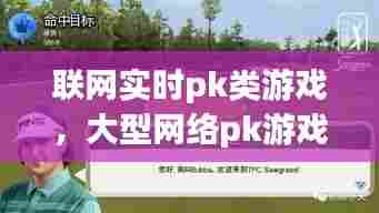 联网实时pk类游戏，大型网络pk游戏 