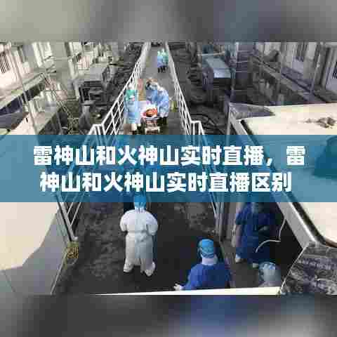 雷神山和火神山实时直播，雷神山和火神山实时直播区别 