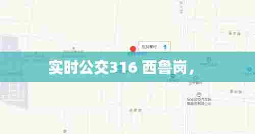 实时公交316 西鲁岗,