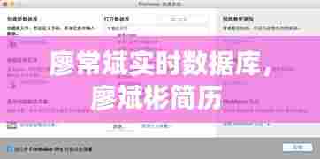 廖常斌实时数据库,廖斌彬简历