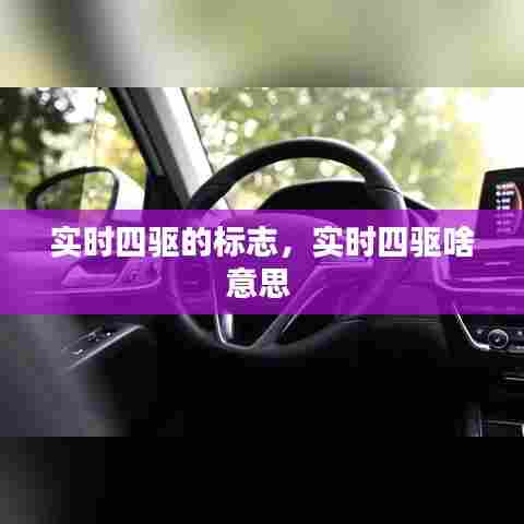 实时四驱的标志，实时四驱啥意思 