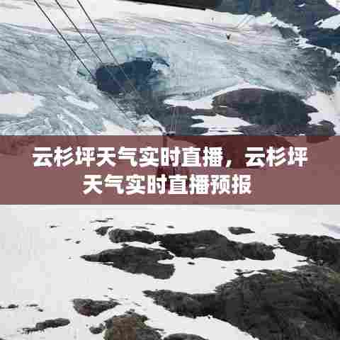 云杉坪天气实时直播，云杉坪天气实时直播预报 