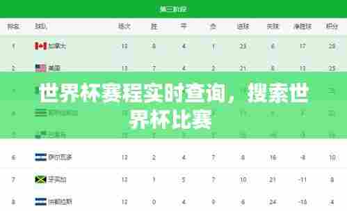 世界杯赛程实时查询,搜索世界杯比赛