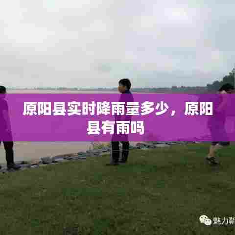 原阳县实时降雨量多少，原阳县有雨吗 