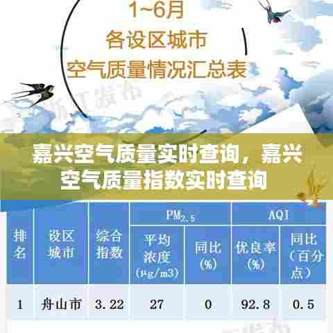 嘉兴空气质量实时查询，嘉兴空气质量指数实时查询 