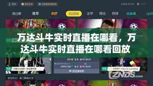 万达斗牛实时直播在哪看,万达斗牛实时直播在哪看回放