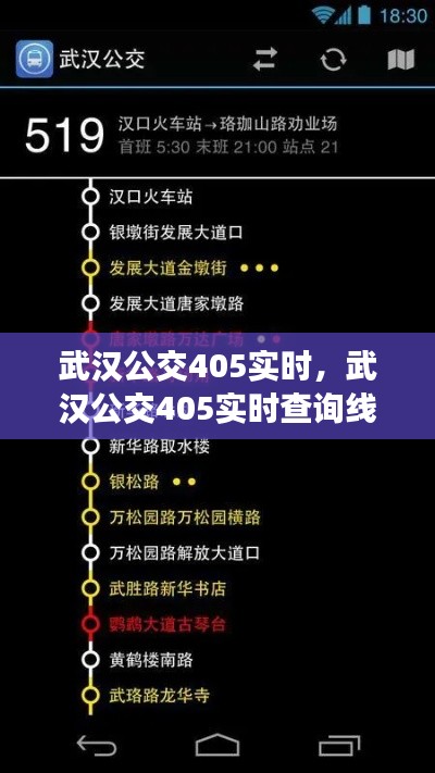 武汉公交405实时，武汉公交405实时查询线路图 