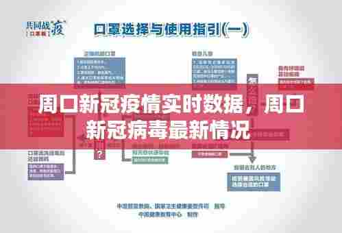 周口新冠疫情实时数据,周口新冠病毒最新情况