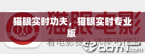 猫眼实时功夫,猫眼实时专业版