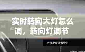实时转向大灯怎么调,转向灯调节