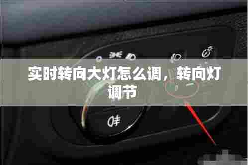实时转向大灯怎么调,转向灯调节