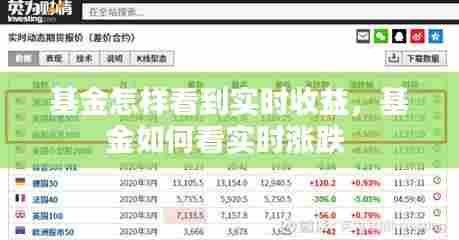 基金怎样看到实时收益，基金如何看实时涨跌 