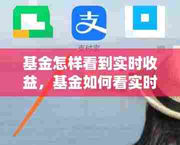 基金怎样看到实时收益,基金如何看实时涨跌