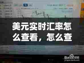 美元实时汇率怎么查看，怎么查美元的实时汇率 