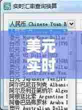 美元实时汇率怎么查看,怎么查美元的实时汇率