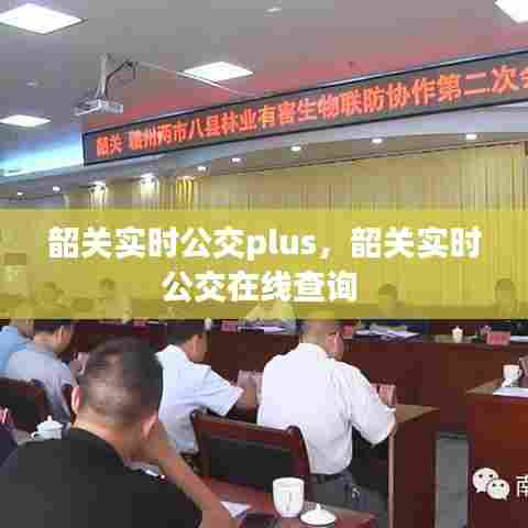 韶关实时公交plus，韶关实时公交在线查询 