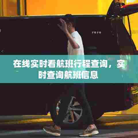 在线实时看航班行程查询，实时查询航班信息 