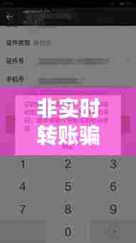 非实时转账骗局,什么是非实时转账