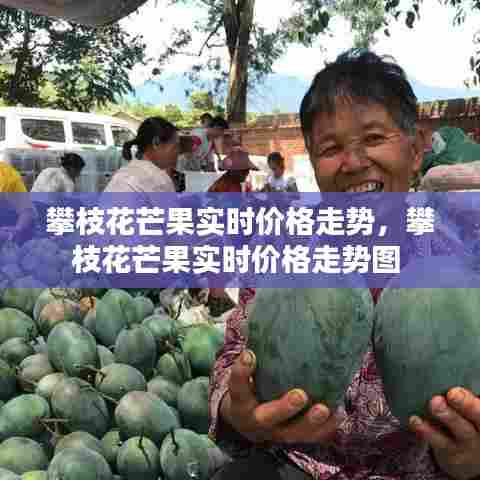攀枝花芒果实时价格走势，攀枝花芒果实时价格走势图 
