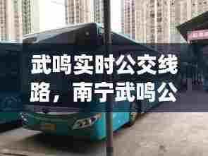 武鸣实时公交线路，南宁武鸣公交车时间表 